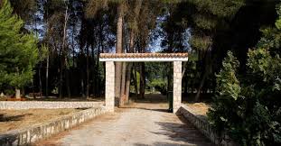 Parque El Vivero